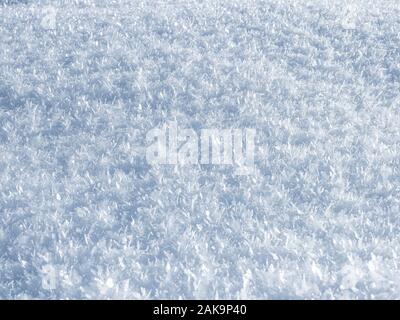 La texture de la neige. Fond blanc de neige. Banque D'Images
