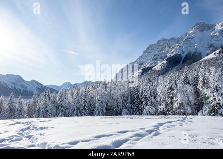 Pins et montagnes Rocheuses, dans une vallée couverte de neige pendant un matin d'hiver avec un ciel bleu clair à Kananaskis, Canada Banque D'Images