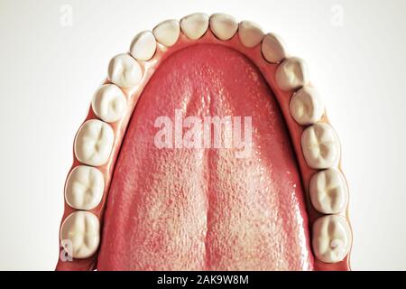 Implant dentaire invisible sur fond blanc - le rendu 3D Banque D'Images