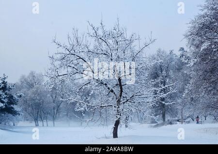 Beijing, Beijing, Chine. 8 janvier, 2020. Beijing, Chine, 7 janvier 2020 à Beijing, la première neige, de 2020, la neige dans une communauté et Orson parc.(usage éditorial uniquement. Chine OUT)J Crédit : SIPA Asie/ZUMA/Alamy Fil Live News Banque D'Images