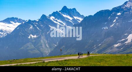 Les touristes en montagne sur sentier de randonnée Mont Männlichen, populaires en vue Alpes Suisses, Suisse. Banque D'Images