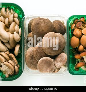 Différents types de champignons frais dans des emballages en plastique isolé sur tableau blanc Banque D'Images