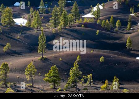 Vue sur terrain vallonné en hiver, Lassen Volcanic National Park, California, USA Banque D'Images