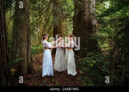 Femme trois nymphes en forêt, Bainbridge Island, Washington, USA Banque D'Images