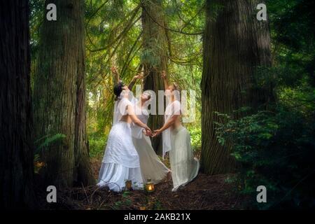 Femme trois nymphes en forêt, Bainbridge Island, Washington, USA Banque D'Images