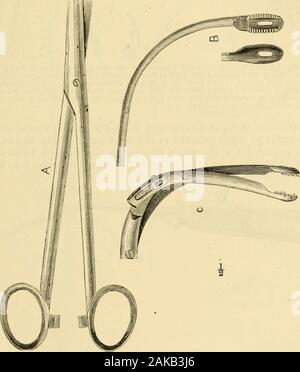 Un manuel des maladies de la gorge et du nez : y compris le pharynx, le larynx, la trachée, l'œsophage, du nez et du pharynx . cepsand naso-appliquer les lames courtes ou plus, selon le cas. Le springwhich force le tube sur la pince est à la partie antérieure et supérieure de l'outilde la poignée ; et l'opérateur, tenant l'instrument entre ses INSTRUMENTS DU LARYNX. 189 pouce et deuxième doigt, appuis sur le ressort avec son index.à la partie postérieure de la poignée est un anneau, par lequel les pinces peuvent être faits pour tourner, et de cette façon, les lames peuvent être faits pour openbackward et l'avant, ou à partir de Banque D'Images