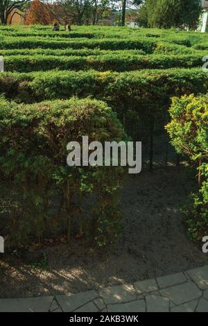 Entrée d'un labyrinthe fait de buissons sempervirentes dans un jardin à Nova Petropolis. Une ville fondée par des immigrants allemands dans le sud du Brésil. Banque D'Images