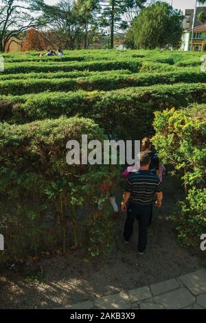 Entrée d'un labyrinthe fait de buissons sempervirentes dans un jardin à Nova Petropolis. Une ville fondée par des immigrants allemands dans le sud du Brésil. Banque D'Images