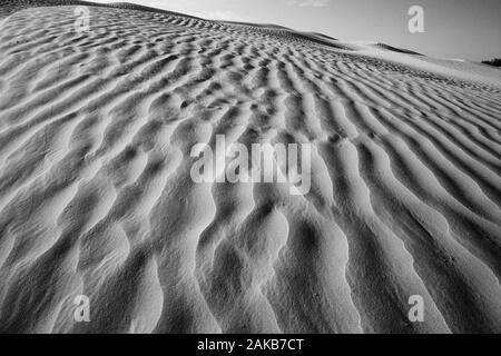 Paysage noir et blanc avec désert de sable, Great Sand Hills, Saskatchewan, Canada Banque D'Images