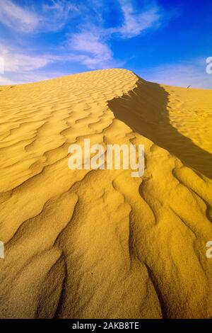 Paysage avec dune de sable, Great Sand Hills, Saskatchewan, Canada Banque D'Images