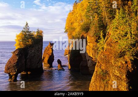 Formations rocheuses en forme de Hopewell Cape (Nouveau-Brunswick), Canada Banque D'Images