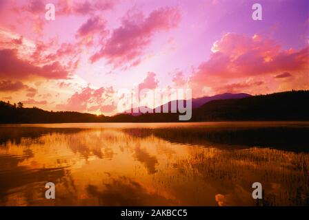 Paysage avec Connery étang au coucher du soleil, parc des Adirondack, New York State, USA Banque D'Images