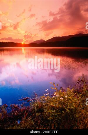 Paysage avec Connery étang au coucher du soleil, parc des Adirondack, New York State, USA Banque D'Images