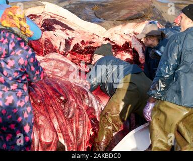 Plage Ardersier, Highlands, Moray, UK. 8 janvier, 2019. C'est un des lieux d'une grande baleine qui radeau ne s'et est mort à Ardersier, Moray Firth, Écosse. La baleine ios pour avoir une autopsie effectuée par l'animal marin écossais et régime permanent est d'être enterré dans un champ voisin. Credit : JASPERIMAGE/Alamy Live News Banque D'Images
