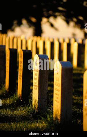 Custer National Monument, Little Bighorn, Montana, USA Banque D'Images