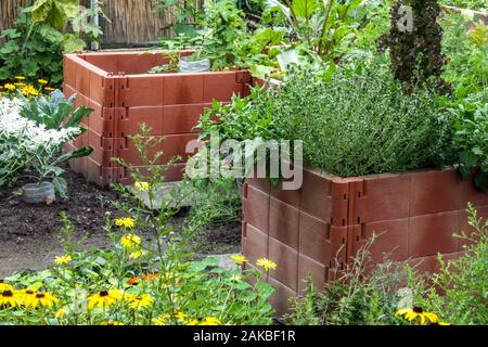 Lit surélevé en plastique dans le jardin de l'allotement, herbes végétales herbe de jardin Banque D'Images