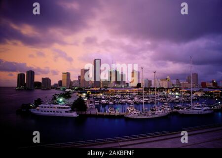 Port de plaisance et le centre-ville à l'aube, Miami, Floride, USA Banque D'Images