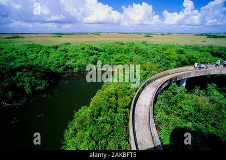 Shark Valley, Parc National des Everglades, Florida, USA Banque D'Images