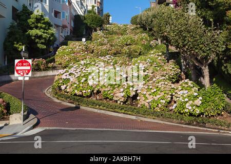 Lombard Street, la rue la plus sinueuse au monde, San Francisco, Californie, USA. Banque D'Images