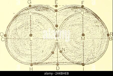 La nouvelle presse à pantalons pierre superlative, système basé sur une étude scientifique, sûr et simple méthode ; . A. Schéma d'accrocher tout droit. Quelques cutters imaginer que par cuttinga tout droit de l'entrejambe pour toutes les formes de la jambe de pantalon se bloque. UIAQRAJVI staight B., mais c'est une illusion, et tôt ou tard, thecutter va découvrir que dans ce cas particulier, le Banque D'Images