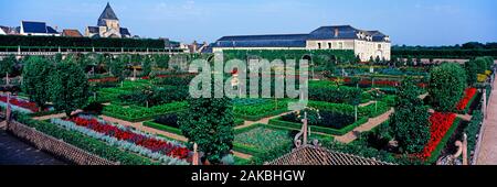 Jardins du Château de Villandry, Villandry, France Banque D'Images