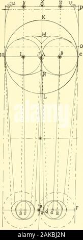 La nouvelle presse à pantalons pierre superlative, système basé sur une étude scientifique, sûr et simple méthode ; . j6 NOUVEAU SYSTÈME TRUUSER PIERRES SUPERLATIVE. La théorisation. A. Schéma Schéma A représente les deux jambes posées à proximité à l'ensemble des cuisses, point A. Si nous prenons le wholecircumference mesure de l'étanchéité sera, bien entendu, prendre dans les deux cuisses, et si les deux jambes sont fixés sur closetogether le tronc le siège measurewill donnez la taille appropriée pour les cuisses. Si nous prenons un quart de la demi-mesure (siège) il willreach sur la division à partir de C à B à H. Si nous balayer downfrom C à G nous avons le w Banque D'Images