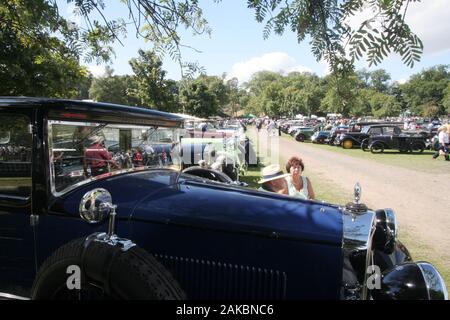 Rangs de vieilles voitures dans le verger situé à Prescott hill au sommet pour l'Vinatge Sports-Car Club meeting. Banque D'Images