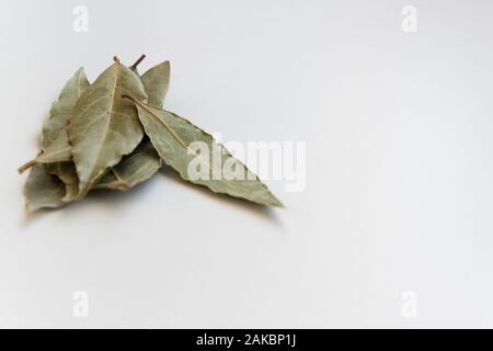 Les feuilles de laurier séchées ingrédients assaisonnement aromatique, Banque D'Images