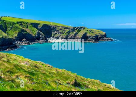 Chemin à pied de Port Isaac à Port Quin, Cornwall, Angleterre, Royaume-Uni, Europe Banque D'Images