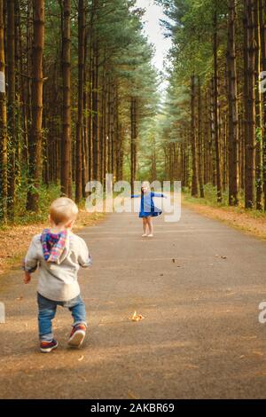 Deux petits enfants jouent ensemble sur un chemin dans une forêt de pins au soleil Banque D'Images