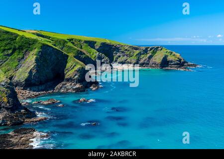 Chemin à pied de Port Isaac à Port Quin, Cornwall, Angleterre, Royaume-Uni, Europe Banque D'Images