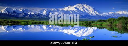 Vue de derrière, le lac de l'Alaska, Denali National Park, Alaska, USA Banque D'Images