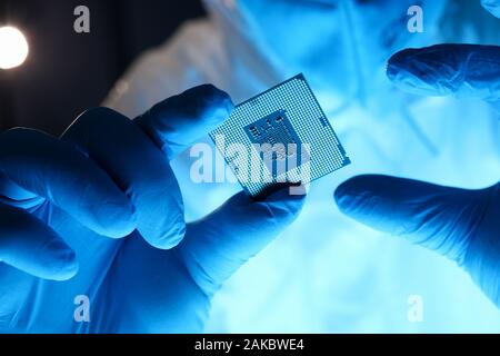 La main des hommes en bleu gants de protection tenir micro rocesseur sur closeup Banque D'Images