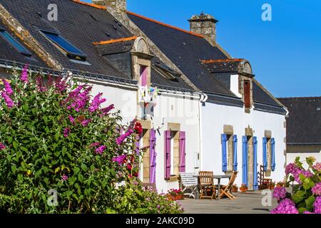 France, Morbihan, presqu'île de Quiberon, le village de Saint-Julien Banque D'Images