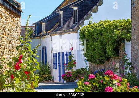 France, Morbihan, presqu'île de Quiberon, le village de Kerniscob Banque D'Images