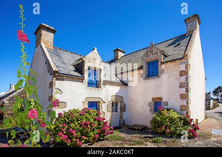 France, Morbihan, presqu'île de Quiberon, le village de Kerniscob Banque D'Images