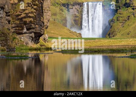 L'Islande, Sudurland, Skogafoss Banque D'Images