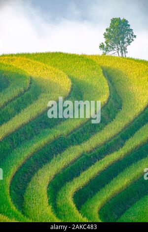 Vietnam, Ha Giang, Hoang Su Phi Banque D'Images