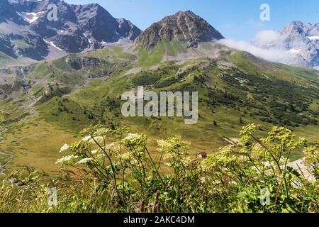 France, Hautes Alpes, vue sur Ecrin de Prak National Alpin Garden de col du Lautaret Banque D'Images