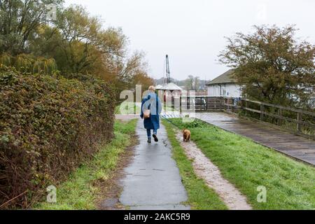 Une femme d'âge moyen promener son petit chien le long d'une rivière chemin sur mouillé et jour de pluie Banque D'Images