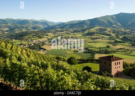 France, Pyrénées Atlantique, Pays Basque, domaine Brana Irouléguy, Banque D'Images