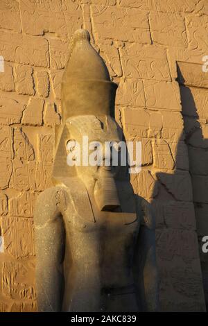 L'Égypte, de la Haute Égypte, vallée du Nil, Louxor, statue de Ramses II intronisé en face de temple de Louxor Banque D'Images