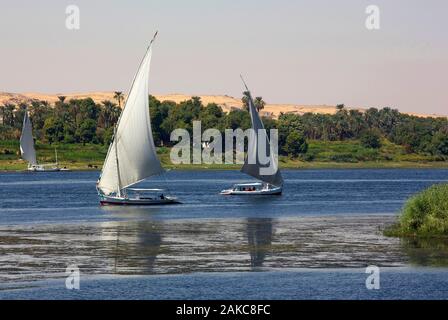 L'Égypte, de la Haute Égypte, Assouan, felouques toutes les voiles crossing sur le Nil en face de la rive gauche vert Banque D'Images