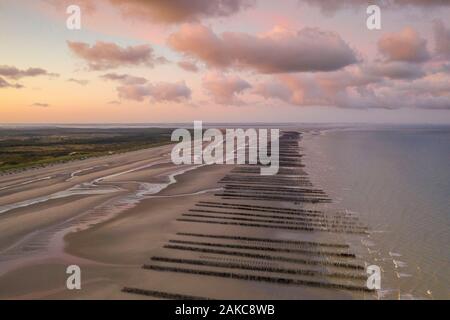 France, Somme, Marquenterre, Quend-Plage, la plage à Quend-Plage et Fort-Mahon, avec l'Authie Bay d'un côté, et la baie de Somme et de l'exploitations de moules bouchot sur l'autre (vue aérienne) (vue aérienne) Banque D'Images