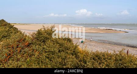 France, somme (80), Baie de Somme, Le Crotoy, Le Hourdel une colonie de phoques sur le banc tandis que de fortes vagues viennent à leur inondation Banque D'Images