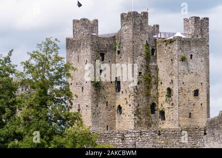 L'Irlande, le comté de Meath, le Château de Trim Banque D'Images