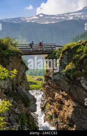 France, Hautes Alpes, Parc National des Ecrins, le Champsaur, vallée du Drac Noir, Prapic, passerelle sur le DRAC Noir au Saut du laire Banque D'Images