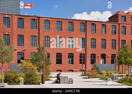 France, Nord, Tourcoing, Plaine Images, ancien site industriel de 5 hectares, le plus grand pôle français dédié à l'animation, l'audiovisuel, aux jeux vidéo, du marketing digital, au web (125 entreprises, 1 800 salariés), jeune homme assis à la table Banque D'Images