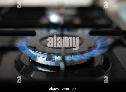 Surface de cuisson. Blue flame de cuisinière à gaz. Banque D'Images