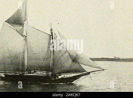 New York et la côte Est ; certains aspects d'une péninsule agréable et bien-aimé . LUJUSE FERME, Argile blanche CREEK VALLEY.  ? ,  ,. -TAA.si-^ la bonite à la voile Banque D'Images